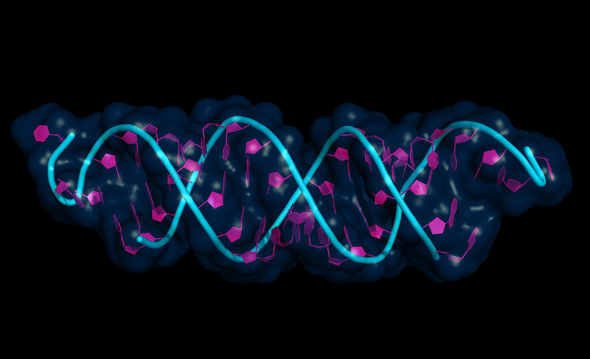 DNA合成生物学