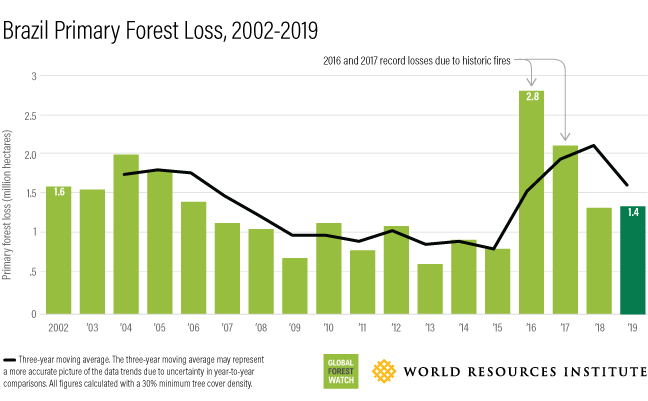 图表显示了2002年至2019年间巴西的森林损失