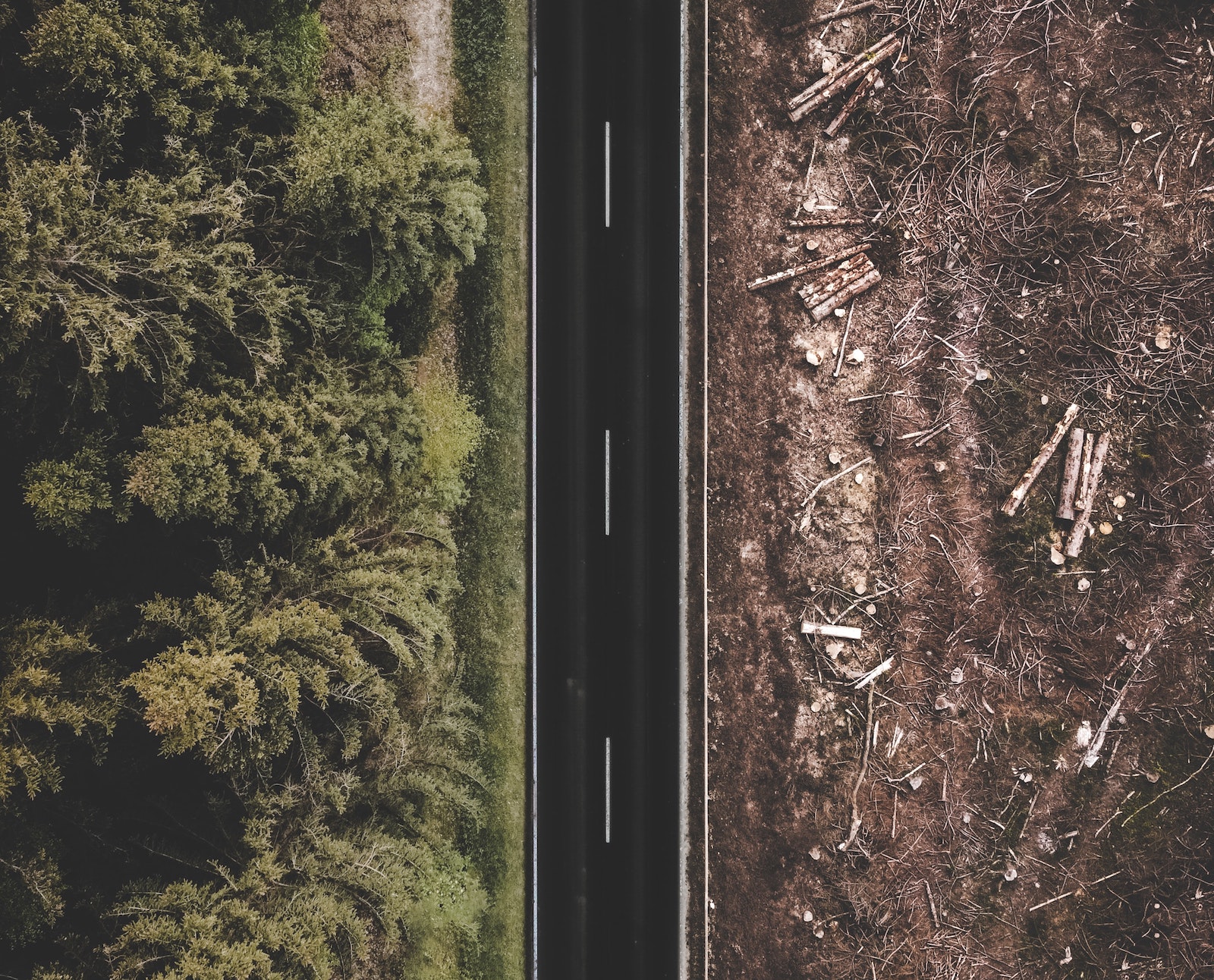 通过它的道路的森林，在一边是可见的森林砍伐。