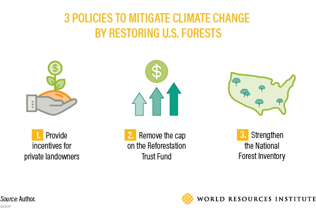 图片显示了通过恢复美国森林来减缓气候变化的三项政策