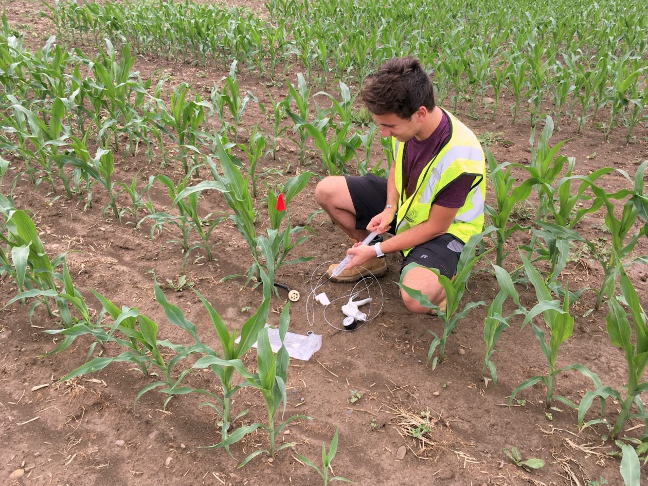 在康奈尔大学的AgriTech农业实验站，研究人员Zack Kozma(左)从一块被添加到土壤中的岩石粉尘中采集水样。(来源:Garrett Boudinot)