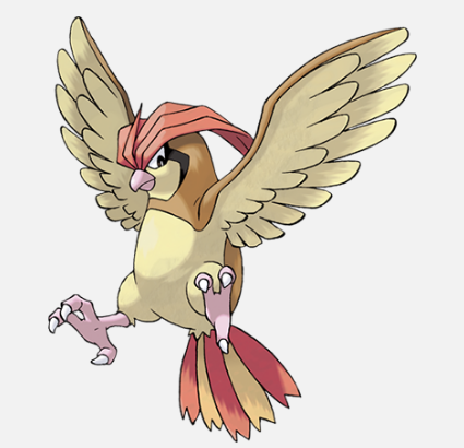 pidgeotto.