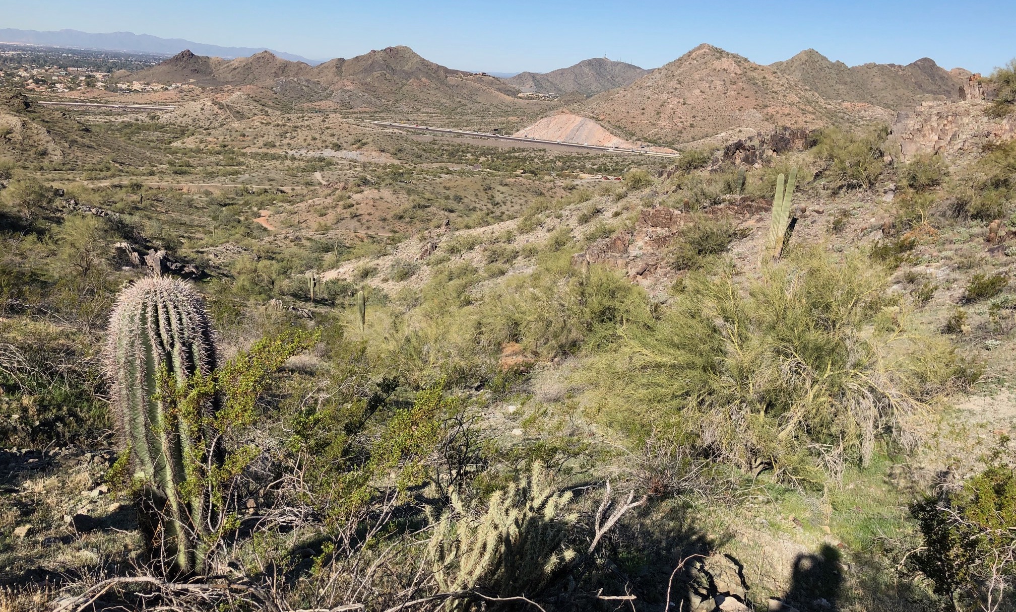 Sonoran Desert, GreenBiz 20