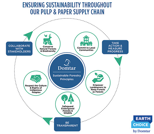 Domtar的可持续林业原则