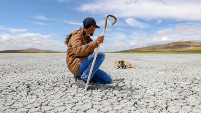 Man kneels in desert with dog