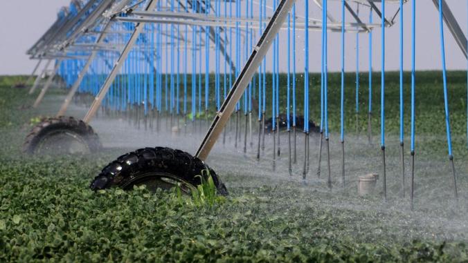 Watering farm