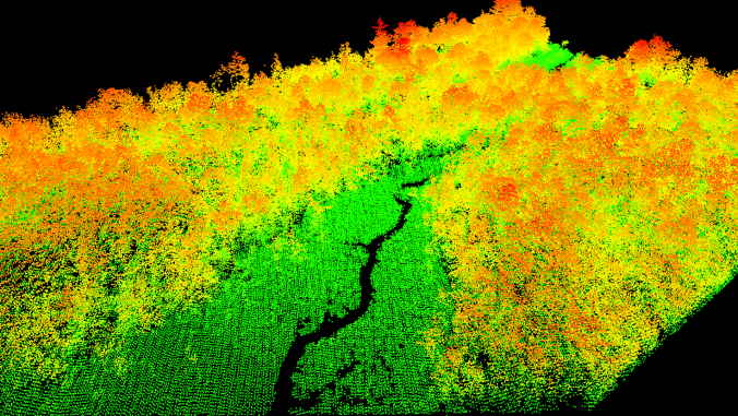 Pachama swamp example