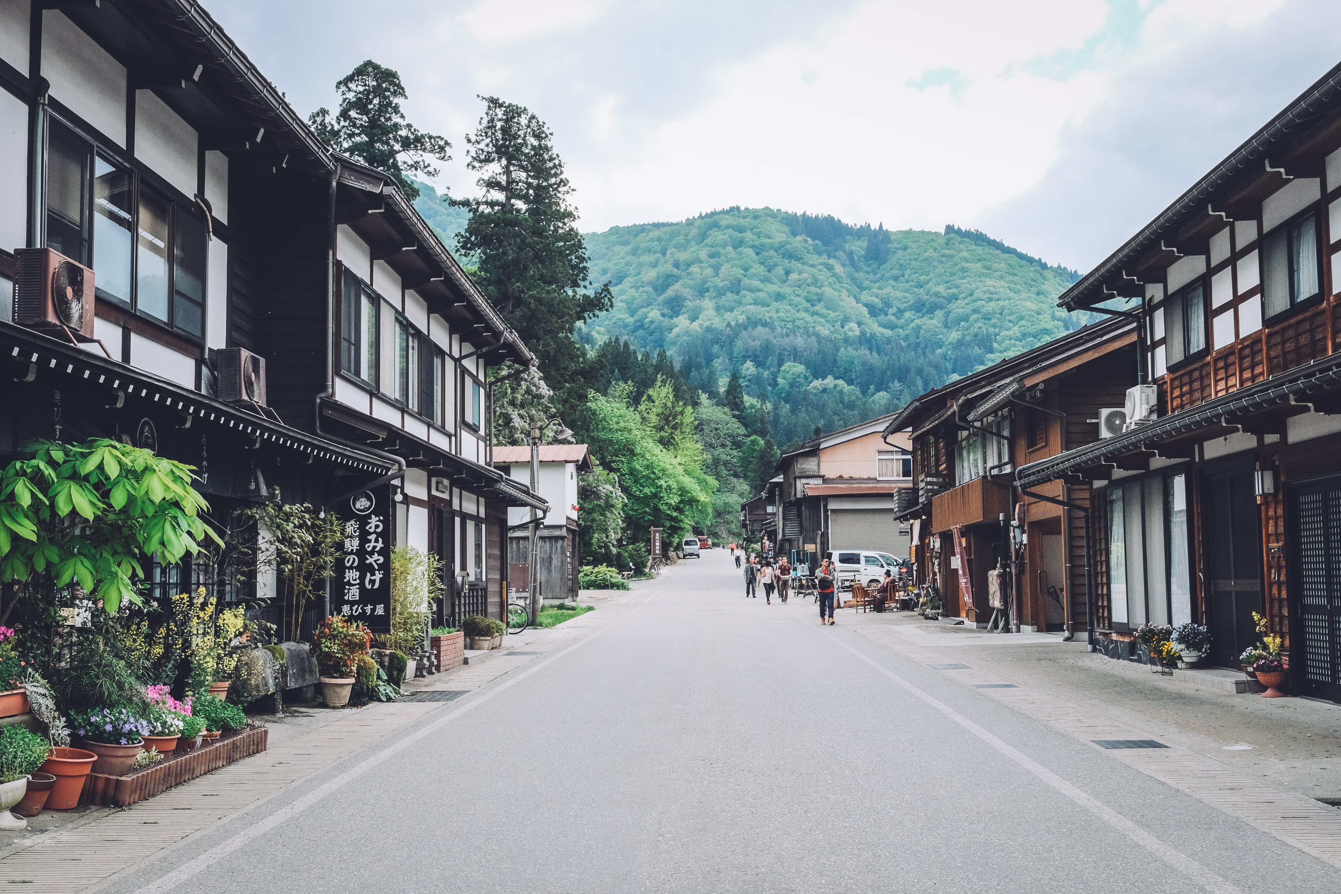 日本白川县的城市森林。