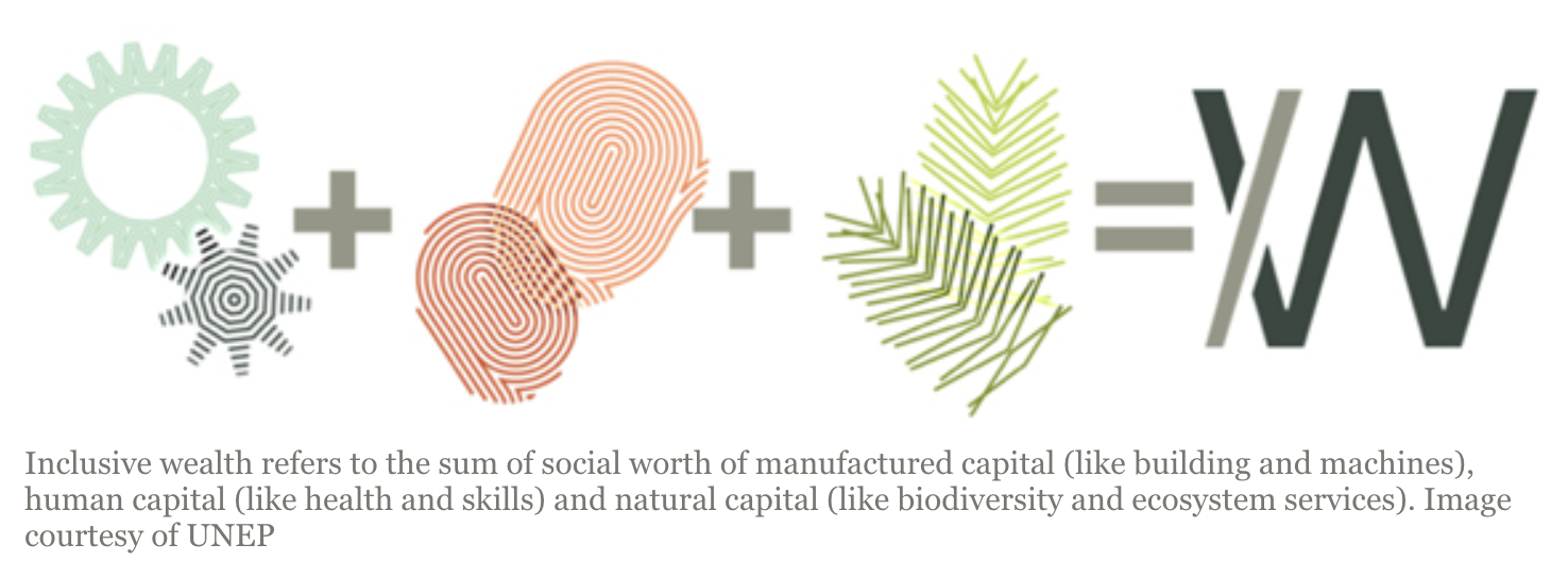 包容性财富是指制造资本（如建筑和机器）、人力资本（如健康和技能）和自然资本（如生物多样性和生态系统服务）的社会价值总和。图片由环境署提供