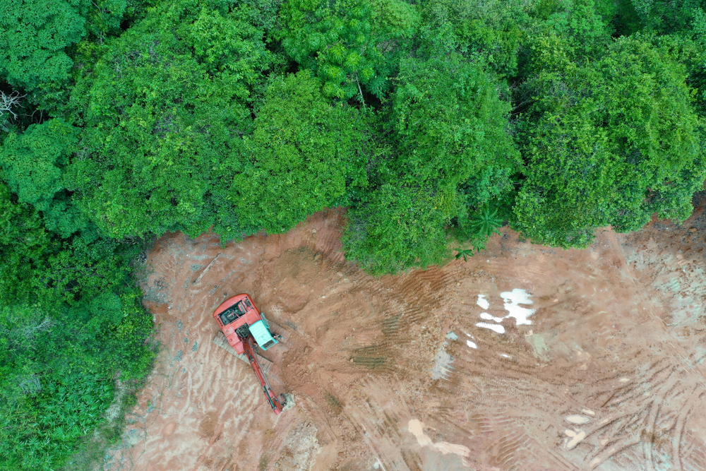 空中拍摄森林和清除的地区在丛林。东南亚的热带雨林被摧毁，为棕榈油种植园让路