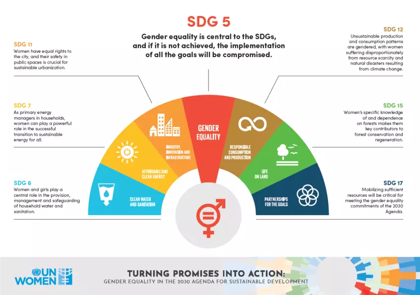 SDG 5图形