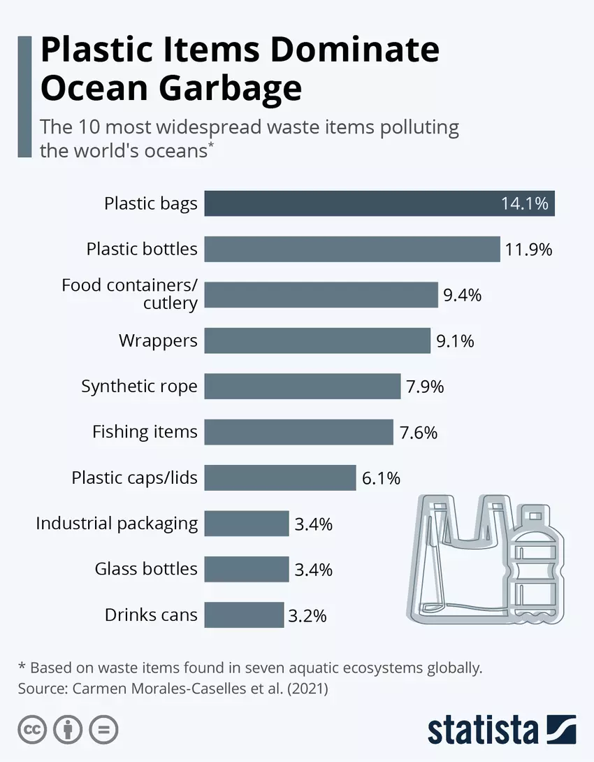 我们的海洋中普遍存在许多一次性塑料物品。（来源：statista）