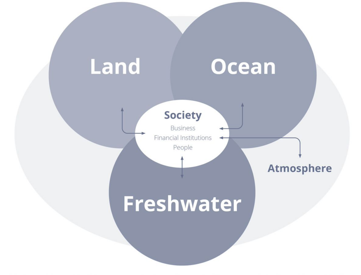 Land Ocean Freshwater venn diagram