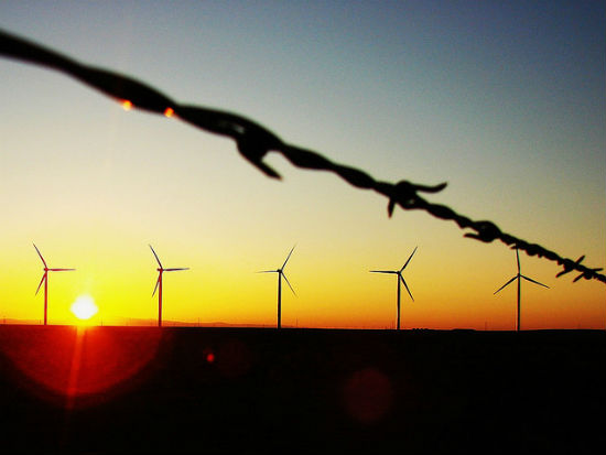 Wind turbines Credit: Crishna via Flickr