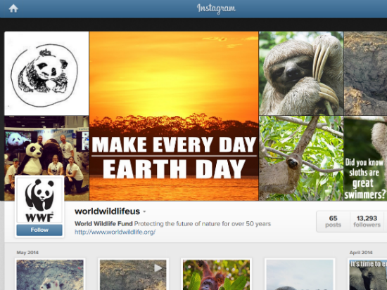 WWF Instagram account. Screenshot taken by Laura Blackwell for GreenBiz.