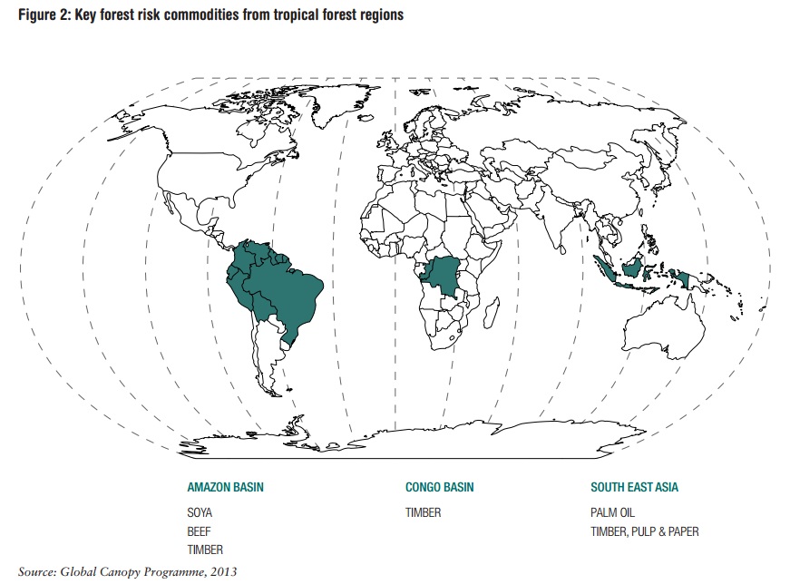 来自热带地区的关键森林风险商品地图