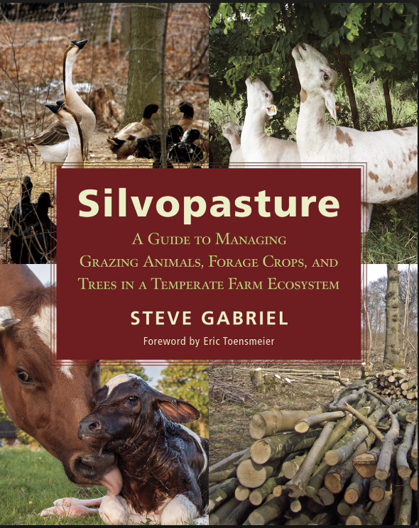 Silvopasture