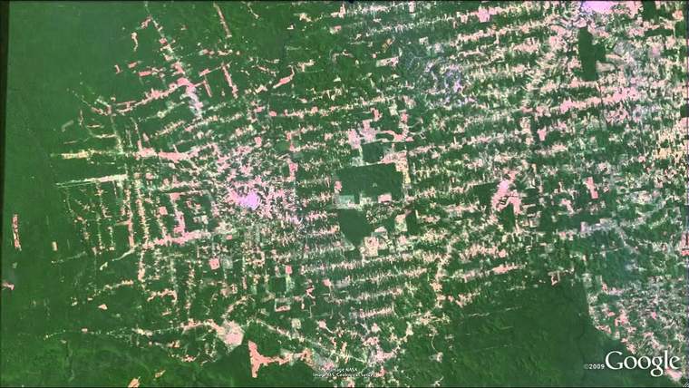 亚马逊森林砍伐