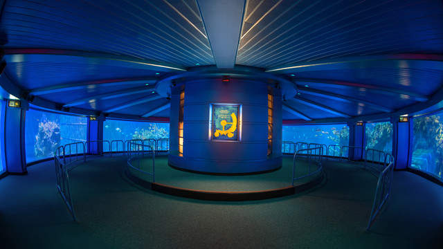 在迪斯尼乐园，水族馆的360度视角
