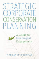 企业战略保护规划：指南有意义的互动，书的封面