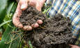 土壤样品，再生农业