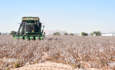 在亚利桑那州的Goodyear约翰迪尔棉花收获机收获棉花