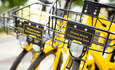 关闭与所述手柄杆篮“分享更多消耗更少的”符号，在黄色OFO自行车，基于应用程序的自行车共享网络的一部分。