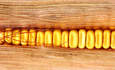 玉米壳的特写镜头
