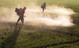 工人在农田喷洒除草剂。