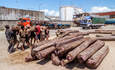 工人装载花梨木卡车在图阿马西纳港，马达加斯加以东。“title=