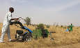 在塞内加尔北部Louga附近的乡村，农民们正在割草。这台机器正在割干草料，这些草料将用来喂牛。