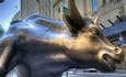 华尔街公牛雕像照片