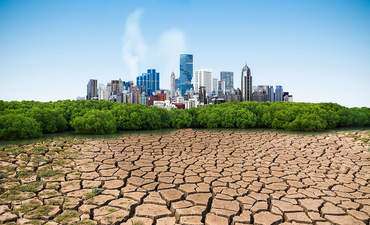 与城市合作的气候行动计划专题图片