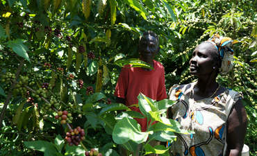 Nespresso是如何利用南苏丹的特色形象来重振咖啡的呢