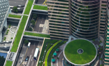 在扩大绿色基础设施方面存在大量机会。这是香港的鸟瞰图。