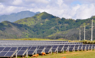 夏威夷旨在以21世纪的方式电气化农村地区特色形象