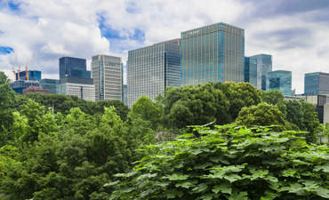 摩天大楼的背景鉴于日比谷公园在日本东京的。