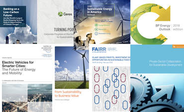 报告报告：低碳金融，以植物为基础的经济，私营部门的协作功能的图像