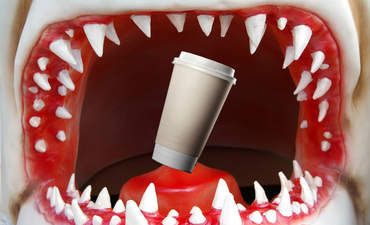被鲨鱼嘴吞下的咖啡杯