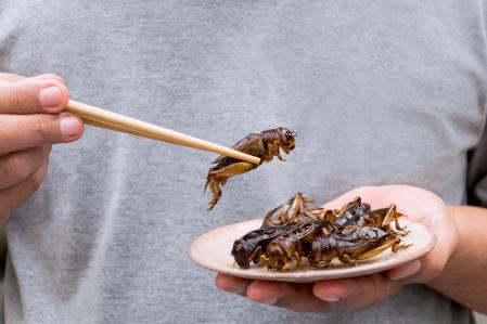 Man holding insect with chopsticks