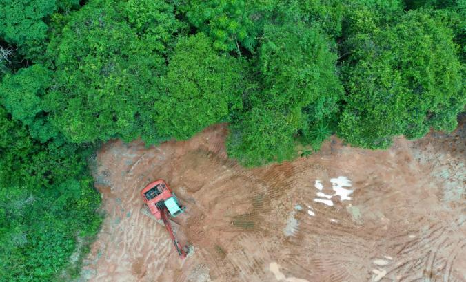 空中拍摄森林和清除的地区在丛林。东南亚的热带雨林被摧毁，为棕榈油种植园让路