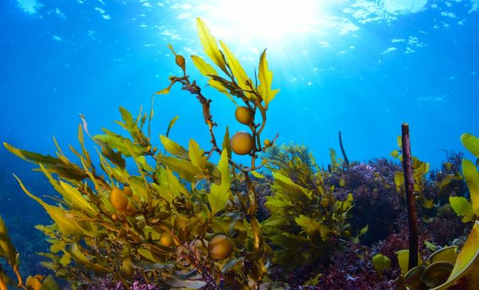 海水附近海面表面