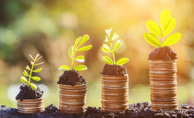 Seedlings coming out of coins