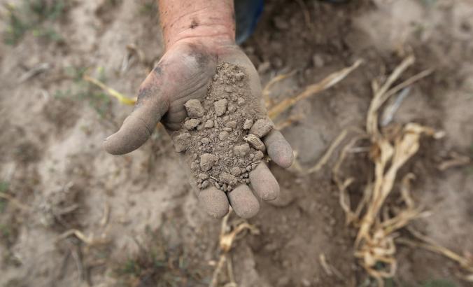 Man holding dirt 