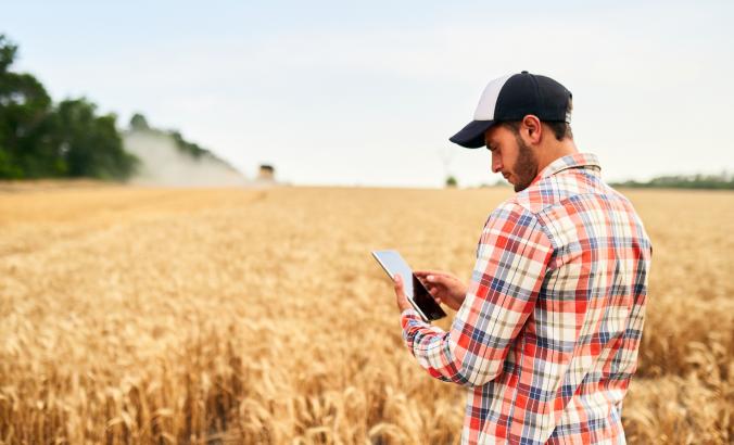 Farmer in field looking at smartphone