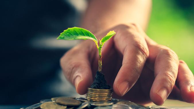 Hand setting down a budding plant on top of a stack of coins