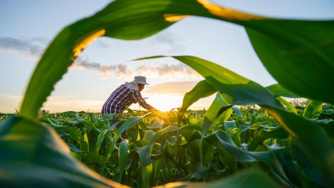 Agriculture